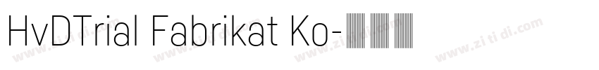 HvDTrial Fabrikat Ko字体转换